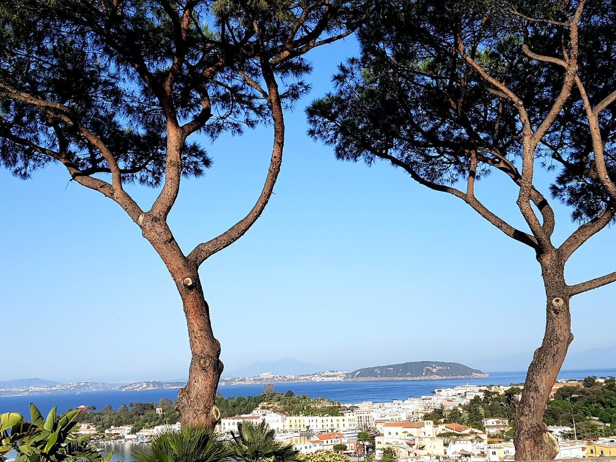 Ischia Dream Visions Διαμέρισμα Εξωτερικό φωτογραφία