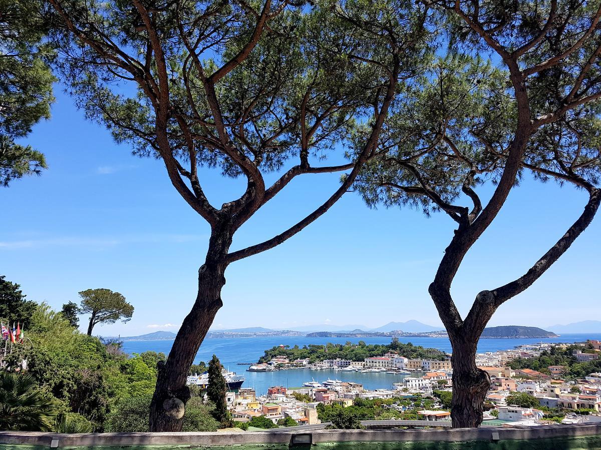 Ischia Dream Visions Διαμέρισμα Εξωτερικό φωτογραφία