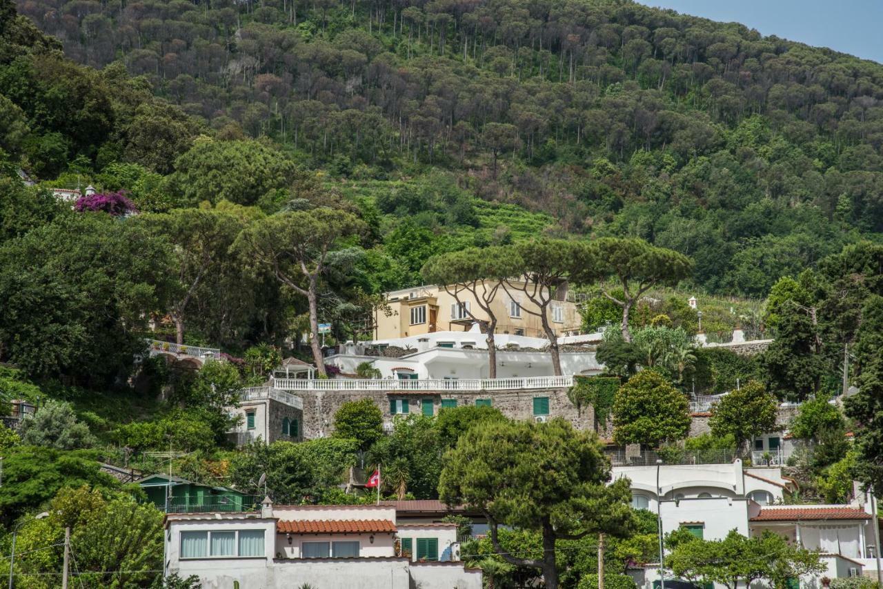Ischia Dream Visions Διαμέρισμα Εξωτερικό φωτογραφία